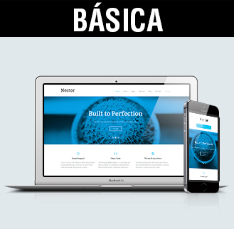 Diseño de páginas web Madrid programación web Básica Madrid